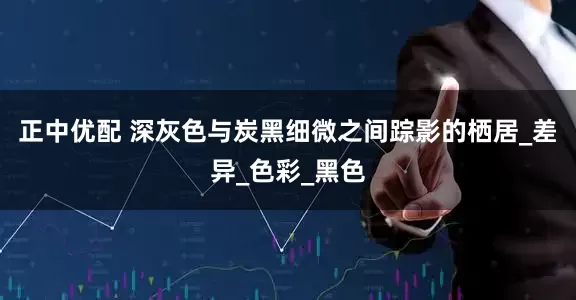 正中优配 深灰色与炭黑细微之间踪影的栖居_差异_色彩_黑色