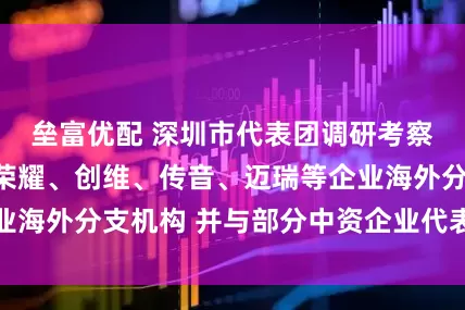垒富优配 深圳市代表团调研考察华为、中兴、荣耀、创维、传音、迈瑞等企业海外分支机构 并与部分中资企业代表座谈交流